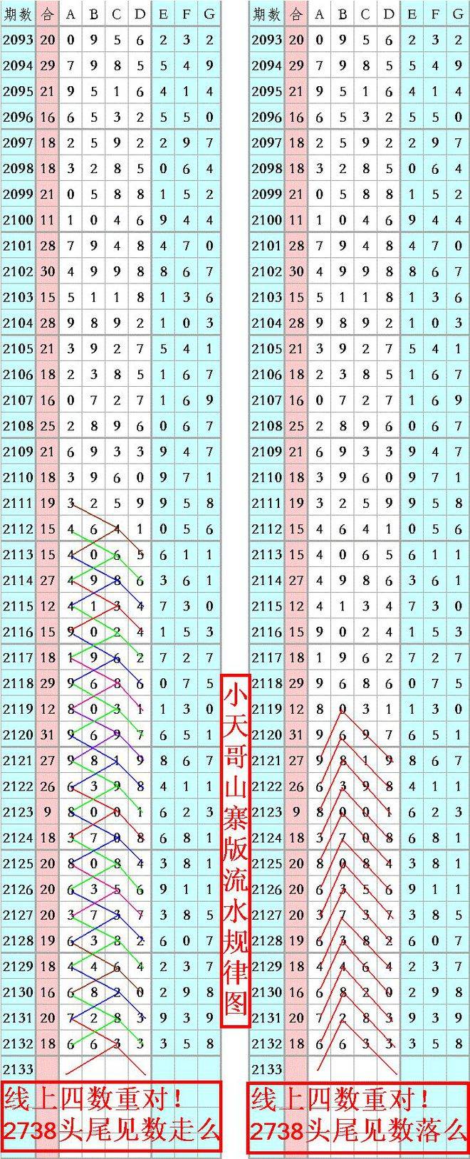 王中王資料一肖正特馬，深度解析與探索，王中王資料一肖正特馬深度解析與探索揭秘