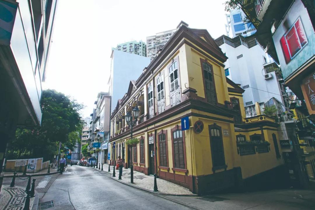新澳門一肖單像——揭秘生肖彩票的奧秘，揭秘新澳門生肖彩票奧秘，一肖單像探秘