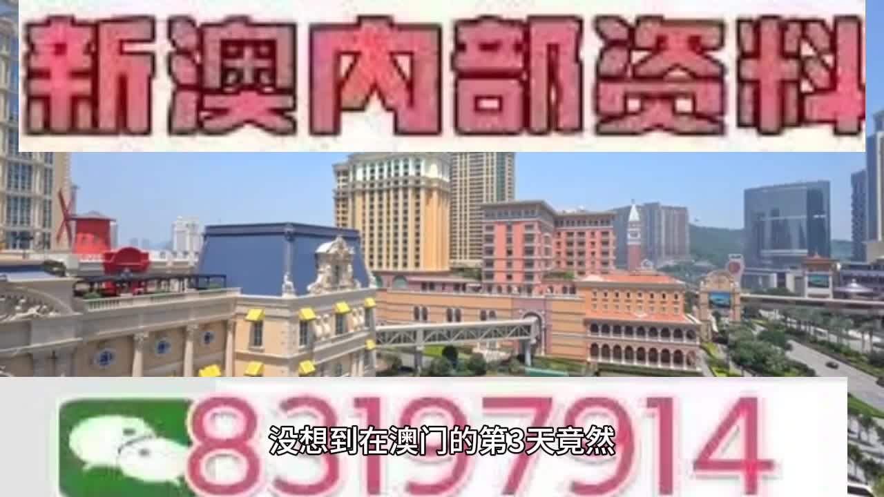 新澳門今晚必開一肖一特，探索生肖與特碼的魅力，澳門生肖特碼探索，今晚必開一肖一特之魅力