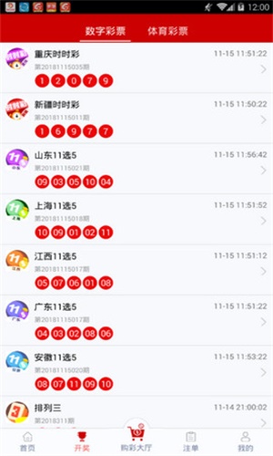 一碼一肖，揭秘背后的秘密與探索其獨(dú)特魅力，揭秘一碼一肖背后的秘密與獨(dú)特魅力探索