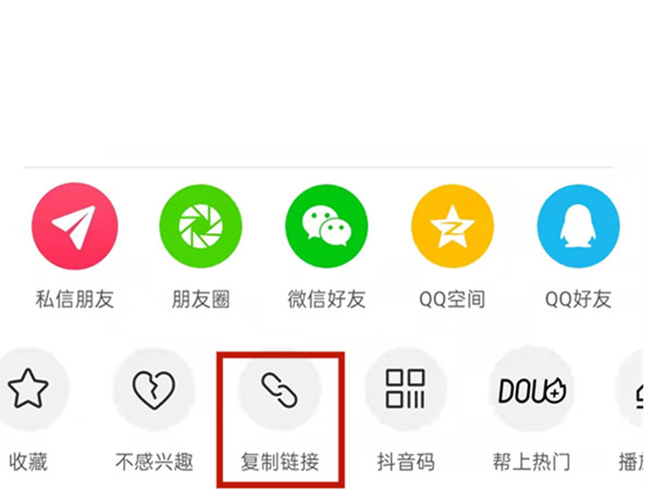 白小姐王中王中特一肖，神秘傳奇與SEO探索，神秘傳奇與SEO探索，白小姐王中王中特一肖的奧秘