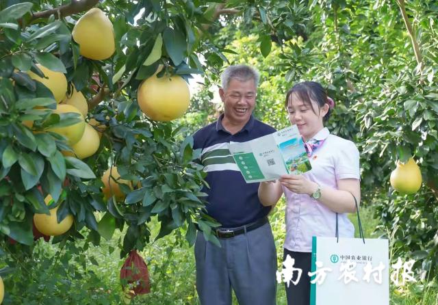 資料大全正版資料2025，一站式獲取所有你需要的信息，資料大全正版資料2025，一站式獲取所有信息總匯