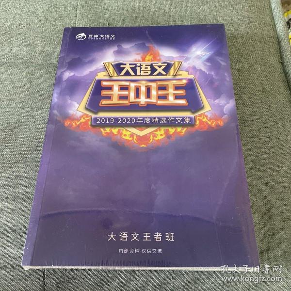 王中王資料2019一肖，揭秘生肖運勢與特性，揭秘生肖運勢與特性，王中王資料2019一肖解析