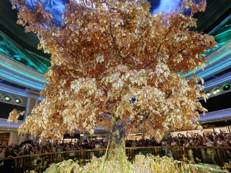 澳門搖錢樹開獎最快——探索彩票世界的神秘魅力，澳門搖錢樹彩票開獎揭秘，探索神秘彩票世界的魅力