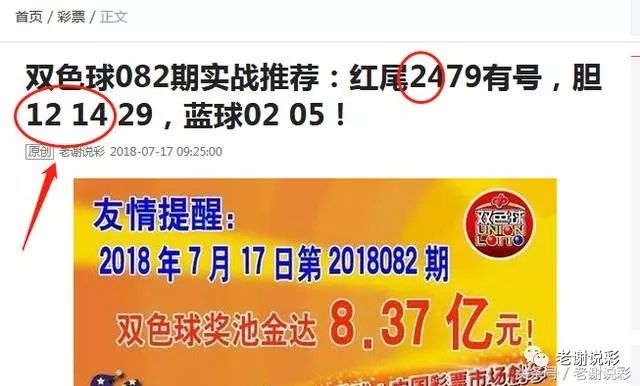 王中王082期指一生肖——探尋生肖魅力，洞悉運勢奧秘，探尋生肖魅力，揭秘運勢奧秘——王中王生肖運勢解析 082期