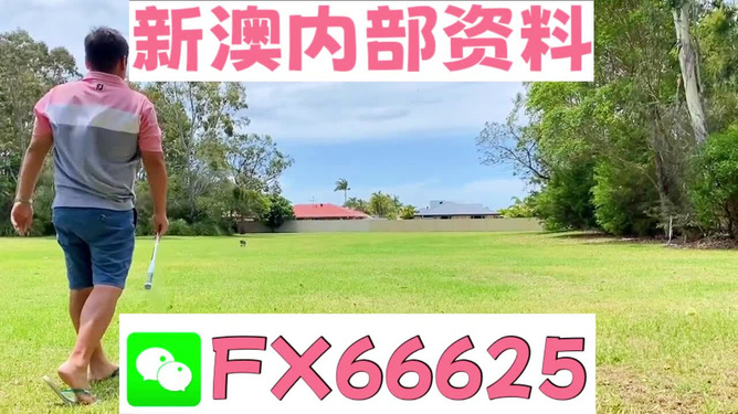 王中王一碼二肖，揭秘背后的秘密，揭秘王中王一碼二肖背后的秘密