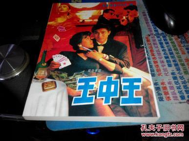 王中王資料一肖中特小說，深度解析與探索，王中王資料一肖中特小說的深度解析與探索之旅
