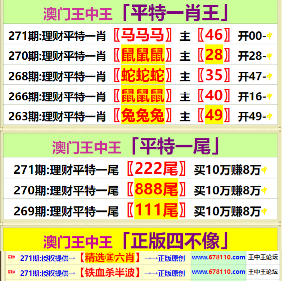 王中王四肖中特一期期誰，深度解析與探索，王中王四肖中特一期深度解析與探索