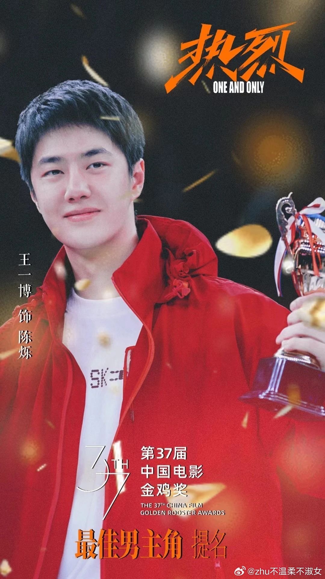 王中王一肖一特一中一中，探尋背后的故事與奧秘，探尋王中王一肖背后的故事與奧秘