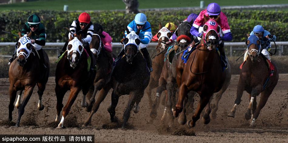王中王與一馬中特，探尋生肖之魅力——關于生肖屬相的獨特解讀，揭秘生肖魅力，王中王與一馬中特的獨特解讀