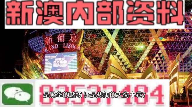 新澳門精準(zhǔn)資料大全管家婆料，探索與解析，澳門精準(zhǔn)資料大全解析，探索管家婆料內(nèi)幕