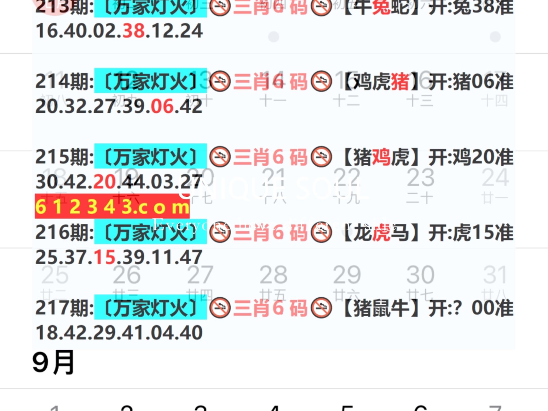 新奧今日六肖中特，揭秘背后的秘密與趨勢(shì)分析，揭秘新奧今日六肖中特背后的秘密與趨勢(shì)分析