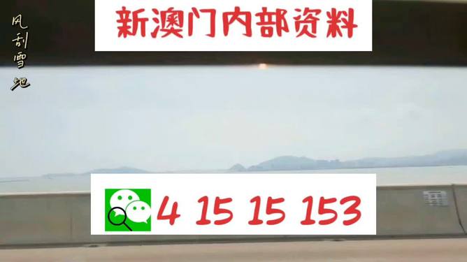 新澳2025最新資料生肖，深度解析與預測展望，新澳2025最新生肖資料深度解析與未來預測展望