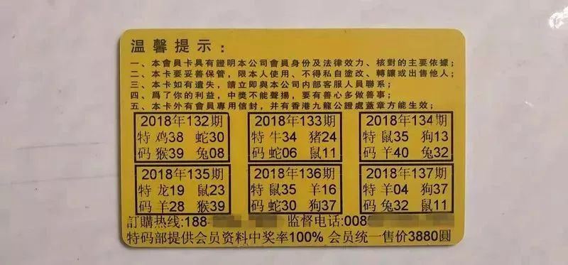 香港中特期期準資料，深度解析與探索，香港中特期期準資料深度解析與探索報告