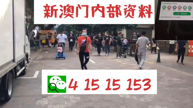 澳門管家婆一馬一中一開，揭秘背后的秘密與策略，澳門管家婆一馬一中一開，揭秘背后的秘密與策略揭秘背后的秘密與策略