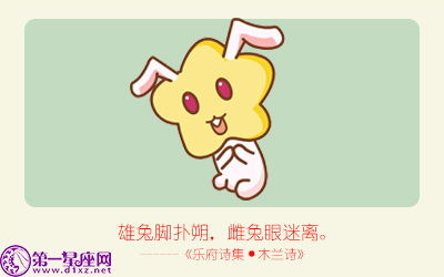 揭秘精準(zhǔn)生肖，探尋神奇的數(shù)字組合777778與888888背后的生肖秘密，揭秘生肖秘密，數(shù)字組合777778與888888背后的生肖傳奇