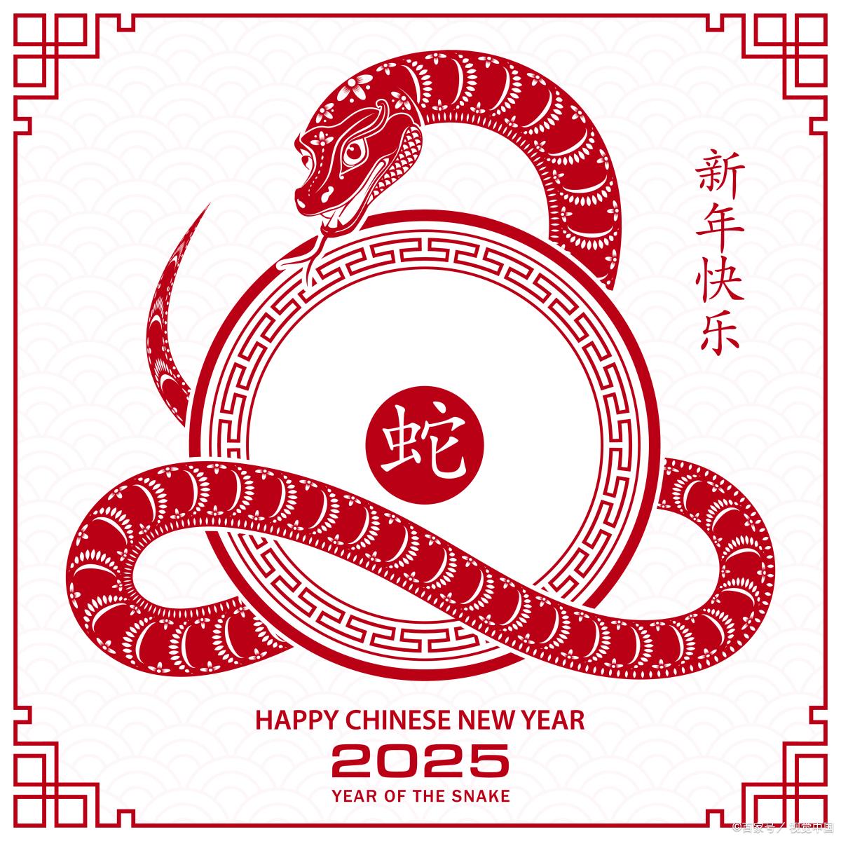 新澳2025年生肖圖，探尋未來運勢與幸運符號，新澳2025年生肖圖，探尋未來運勢，揭秘幸運符號