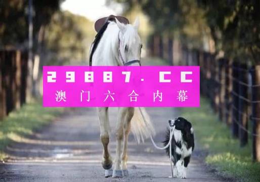 澳門彩的奧秘世界與SEO優(yōu)化策略探討 —— www.04812com的獨家解析，澳門彩奧秘與SEO優(yōu)化策略獨家解析，www.04812com深度探討