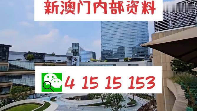 芳草地2025澳門資料，探索未來的奧秘，探索澳門未來奧秘，芳草地資料揭示的藍圖 2025年展望