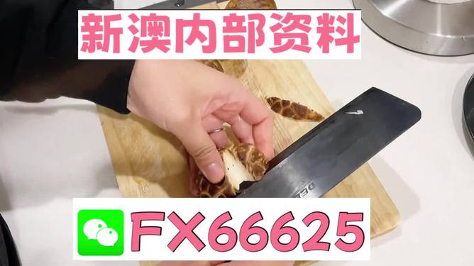 澳門九點(diǎn)半9點(diǎn)半網(wǎng)站——探索其魅力與優(yōu)勢，澳門九點(diǎn)半網(wǎng)站，魅力與優(yōu)勢探索