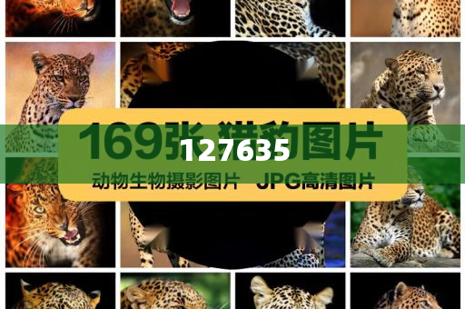 精準(zhǔn)新傳真，揭秘?cái)?shù)字組合7777788888的神秘面紗，揭秘?cái)?shù)字組合7777788888的神秘面紗，精準(zhǔn)新傳真解讀