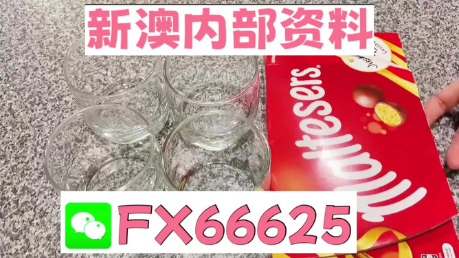 新奧正版免費料大全，探索與獲取，新奧正版免費料大全，探索與獲取之旅