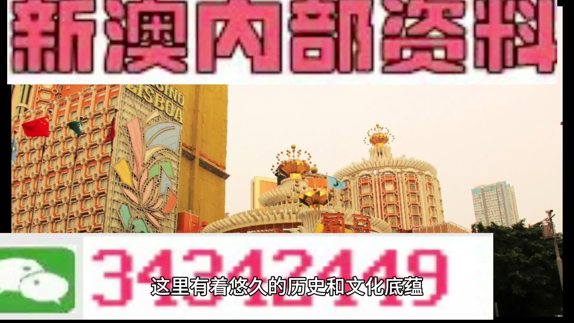 新門內(nèi)部資料大全免費(fèi)查詢——探索未知領(lǐng)域，獲取寶貴資源，新門內(nèi)部資料免費(fèi)探索，揭秘未知領(lǐng)域，獲取寶貴資源大全