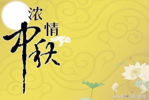 天天開好彩免費(fèi)資料大全——你不可錯(cuò)過的幸運(yùn)之門，天天開好彩免費(fèi)資料大全——開啟幸運(yùn)之門的必備指南
