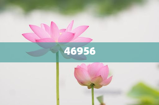 新奧集團(tuán)，邁向2025，天天開好彩的愿景與挑戰(zhàn)，新奧集團(tuán)邁向2025，實(shí)現(xiàn)天天開好彩的愿景與挑戰(zhàn)