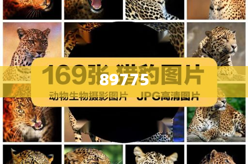 關(guān)于新奧歷史開(kāi)獎(jiǎng)記錄的最新信息，今天公布了嗎？，新奧歷史開(kāi)獎(jiǎng)記錄最新信息公布了嗎？