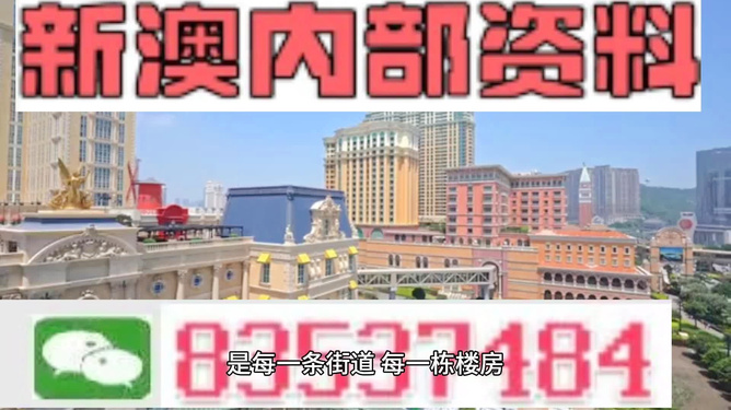 新澳門最精準(zhǔn)正最精準(zhǔn)龍門——探索澳門的魅力與機(jī)遇，澳門魅力與機(jī)遇探索，新澳門最精準(zhǔn)龍門