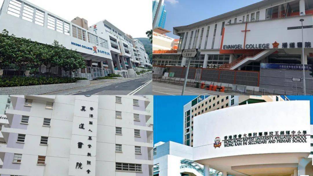 香港免費公開資料大全——探索無盡的資源寶庫，香港免費公開資料大全，資源寶庫深度探索