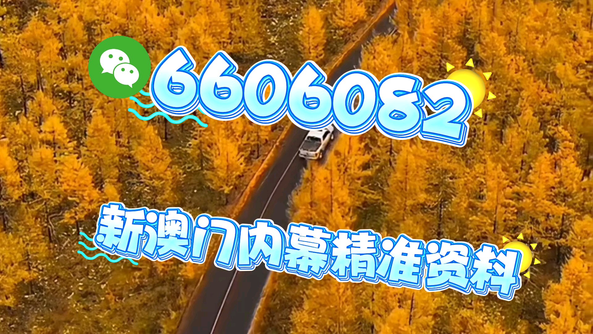新澳門一肖一碼中恃馬，探索與解析，澳門一肖一碼中恃馬，探索與解析