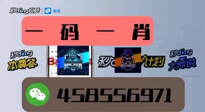 本期一肖一碼王中王，揭秘與探索，揭秘一肖一碼王中王，探索生肖與數(shù)字的神秘聯(lián)系