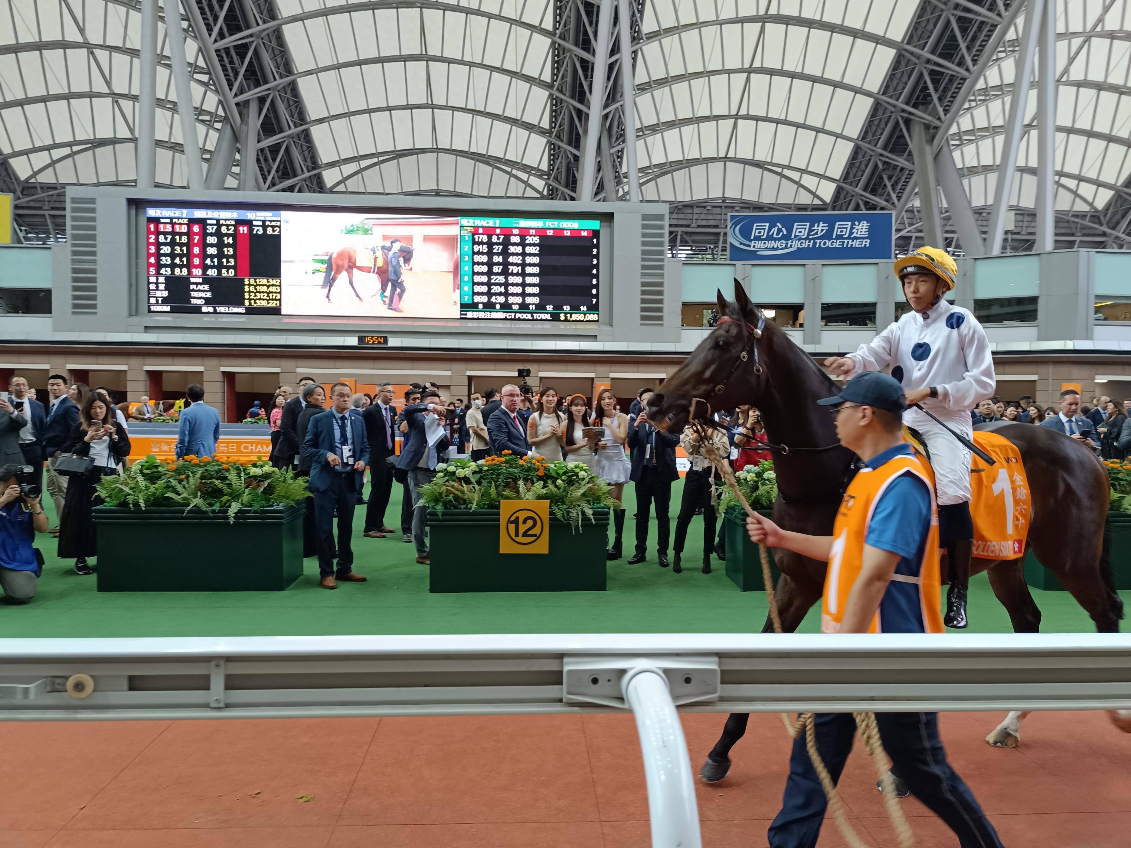 香港王中王一肖中特馬的奧秘與探索，香港王中王一肖中特馬的奧秘探索之旅