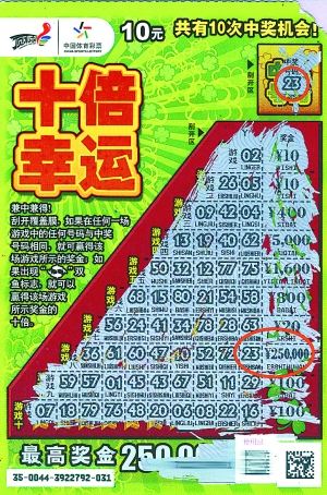 王中王平特一肖好彩頭——揭秘好運(yùn)背后的秘密，揭秘好運(yùn)背后的秘密，王中王平特一肖好彩頭解析