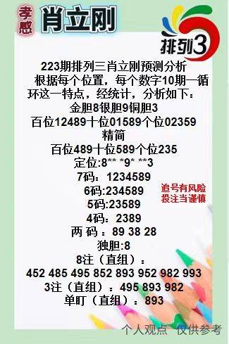 王中王三肖一碼資料，深度解析與SEO優(yōu)化策略，王中王三肖一碼資料深度解析與SEO優(yōu)化策略全攻略