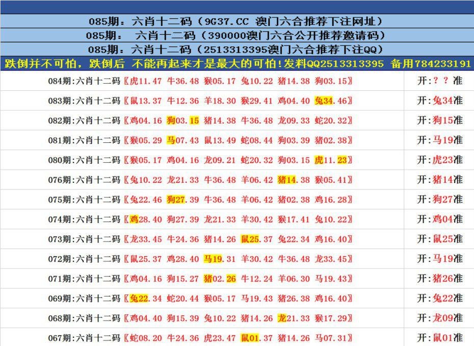 澳門六合正版資料，深度解析與探索，澳門六合正版資料深度解析與探索之旅