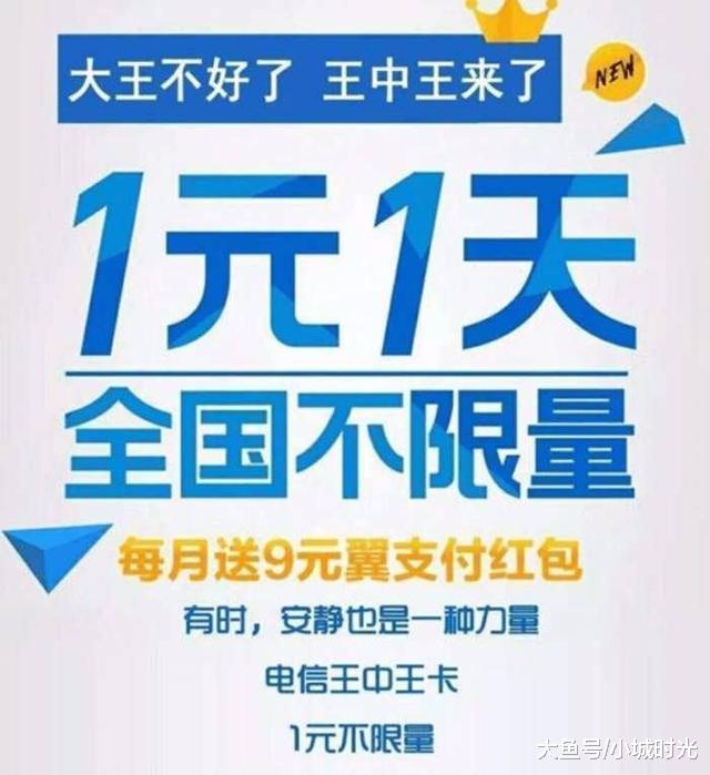 王中王新四不像一肖，揭秘背后的神秘面紗與SEO策略洞察，揭秘王中王新四不像一肖背后的神秘面紗與SEO策略洞察