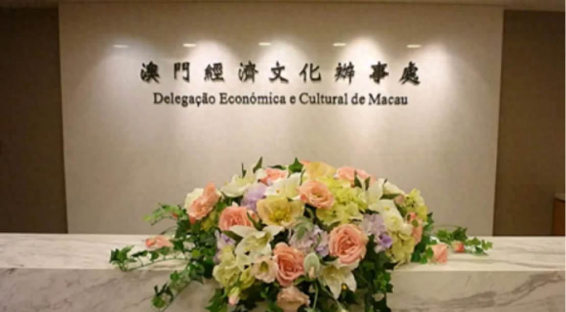 新澳門一碼一肖一待一中四不像的奧秘與探索，澳門一碼一肖一待一中四不像奧秘揭秘與探索