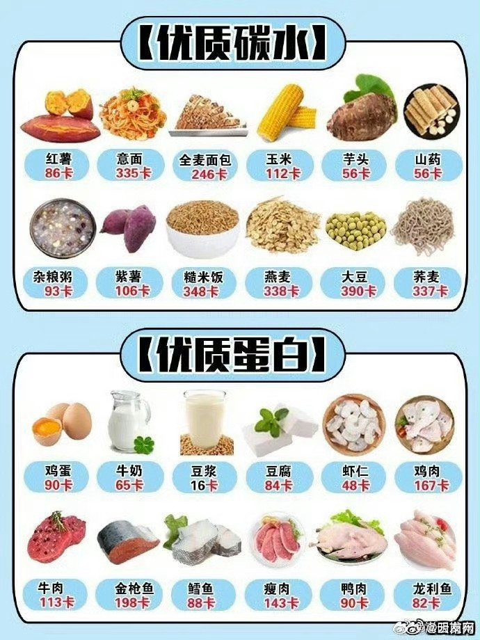 各種食物熱量表大全，健康飲食的必備指南，食物熱量表全面解析，健康飲食的必備指南