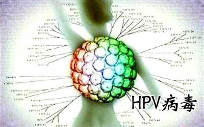 HPV病毒能否徹底清除？深度解析與應(yīng)對策略，深度解析HPV病毒能否徹底清除，應(yīng)對策略及應(yīng)對方法