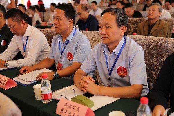 新奧精準(zhǔn)選免費(fèi)提供，探索最佳選擇與無限可能，新奧精準(zhǔn)選，免費(fèi)探索最佳選擇與無限可能