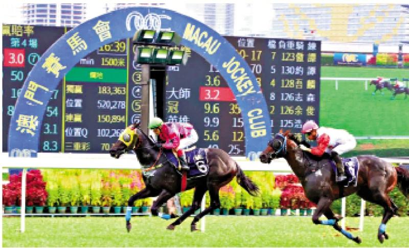 澳門賽馬會，歷史、文化與激情的交融，澳門賽馬會，歷史、文化與激情的盛會
