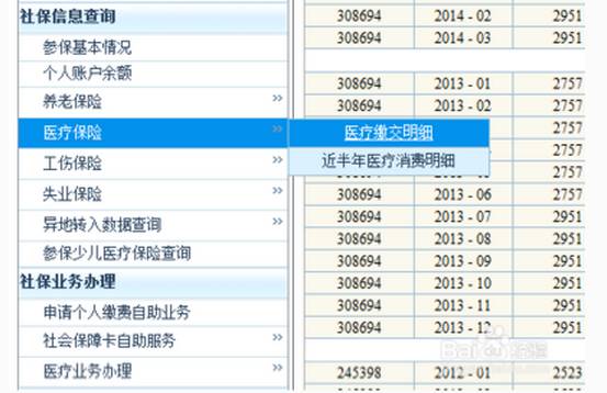2025新澳門歷史記錄查詢完全指南，澳門歷史記錄查詢完全指南（2025版）