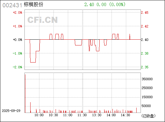 探索棕櫚股份股吧，深度解析與前景展望（股票代碼，002431），棕櫚股份深度解析與前景展望，股票代碼002431