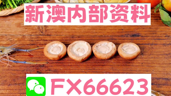 新澳全年免費資料大全——探索與學(xué)習(xí)資源的寶庫，新澳全年免費資料大全，探索與學(xué)習(xí)資源的終極寶庫