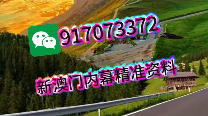 王中王一肖一中特，深度解析與SEO優(yōu)化策略，王中王一肖一中特深度解析與SEO優(yōu)化策略探討