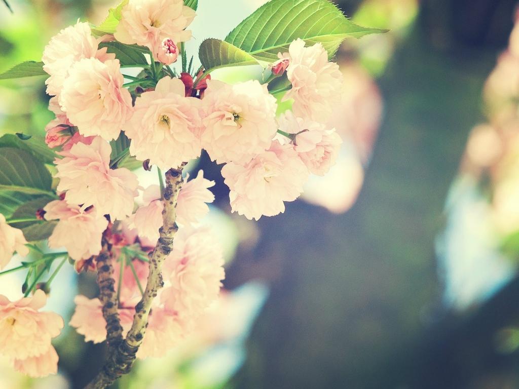 背后的故事與秘密探尋