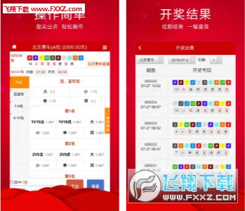 王中王三肖必出一肖，深度解析與探索，王中王三肖必出一肖，深度解析與探索揭秘